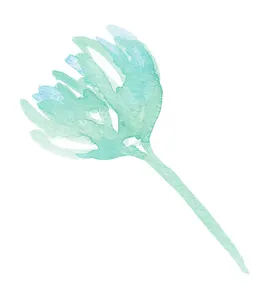 水彩手绘花卉花朵植物