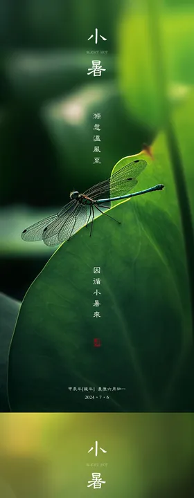小暑节气海报