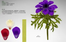 C4D模型  花