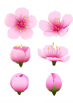 唯美水彩樱花桃花素材