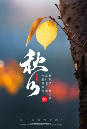 金秋秋分时节海报