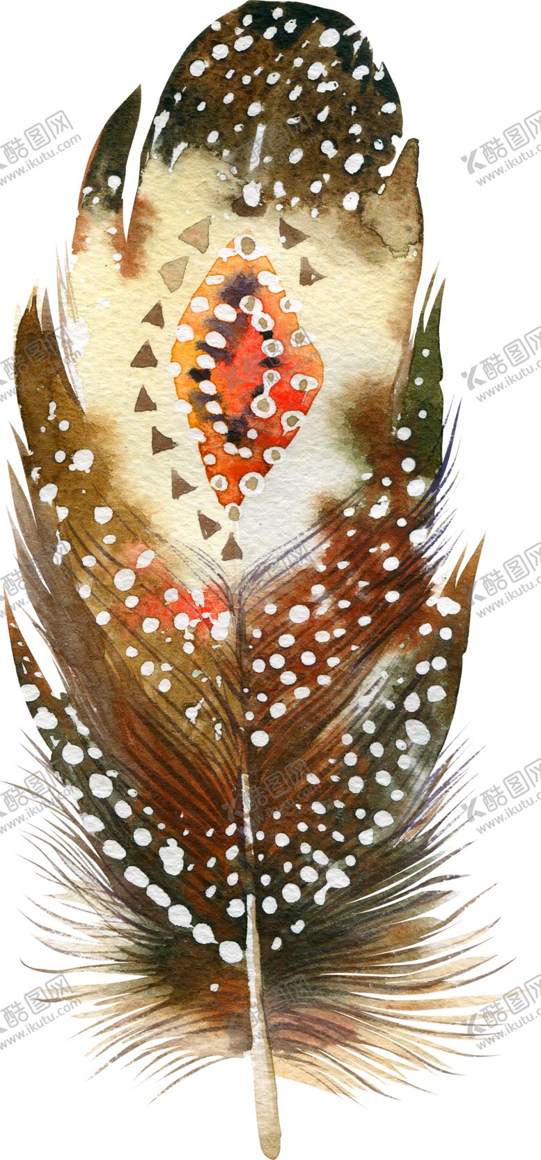 编号：83692310062223033817【酷图网】源文件下载-水彩创意羽毛图案