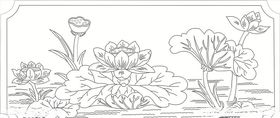 荷花