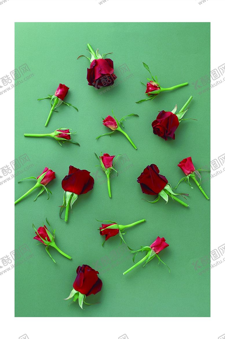 编号：32236309200823496558【酷图网】源文件下载-玫瑰花装饰画