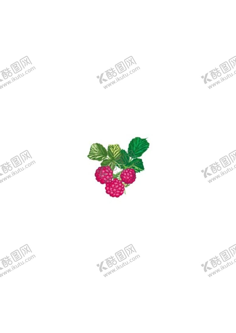 编号：68539109150616264832【酷图网】源文件下载-水蜜桃 叶子 芒果 苹果 草莓