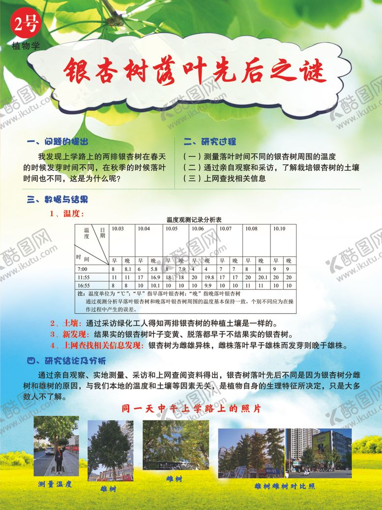 编号：49402610230612567789【酷图网】源文件下载-银杏树落叶研究