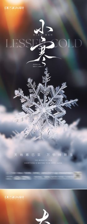 地产小寒大寒雪花风景海报