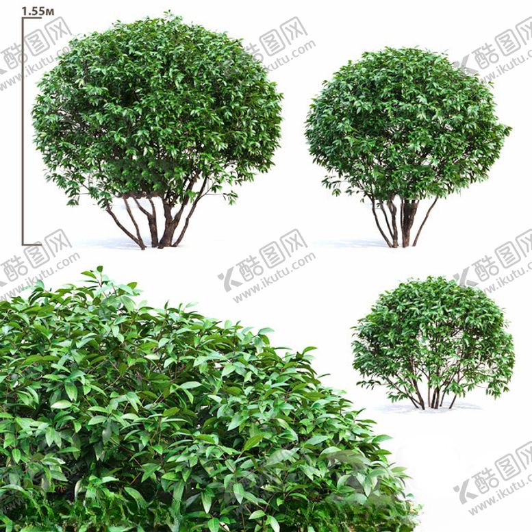 编号：61331002170434187425【酷图网】源文件下载-C4D模型绿色植物
