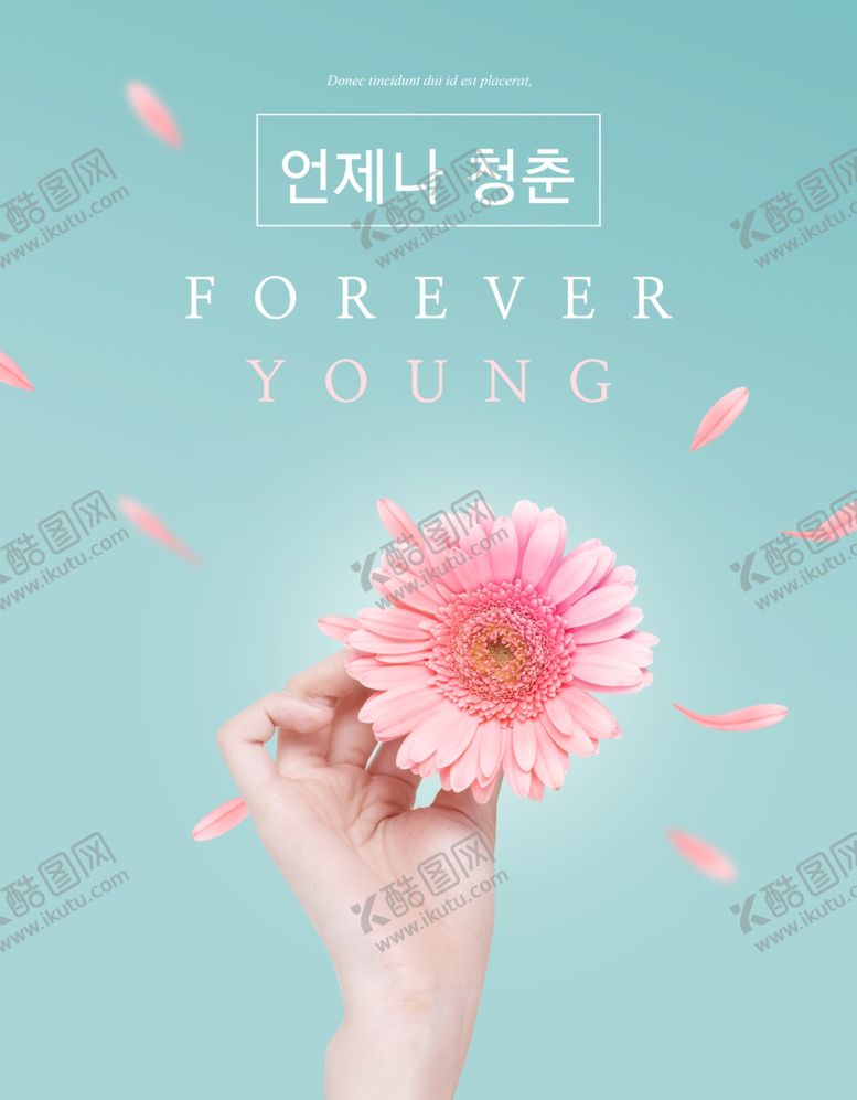 编号：21788409211852158272【酷图网】源文件下载-花朵