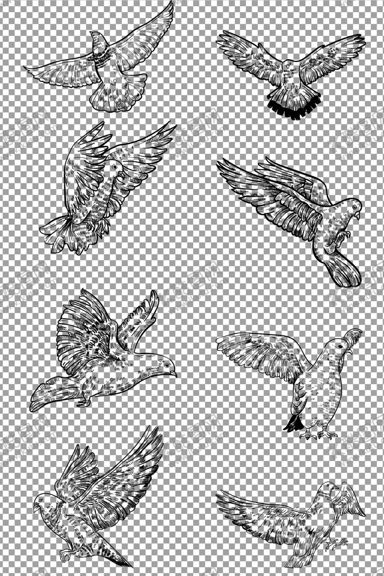 编号：15240009291851547103【酷图网】源文件下载-手绘黑白线描飞鸽