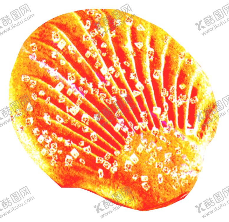 编号：88008409252220017830【酷图网】源文件下载-扇贝饼干