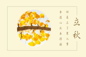 杏树叶