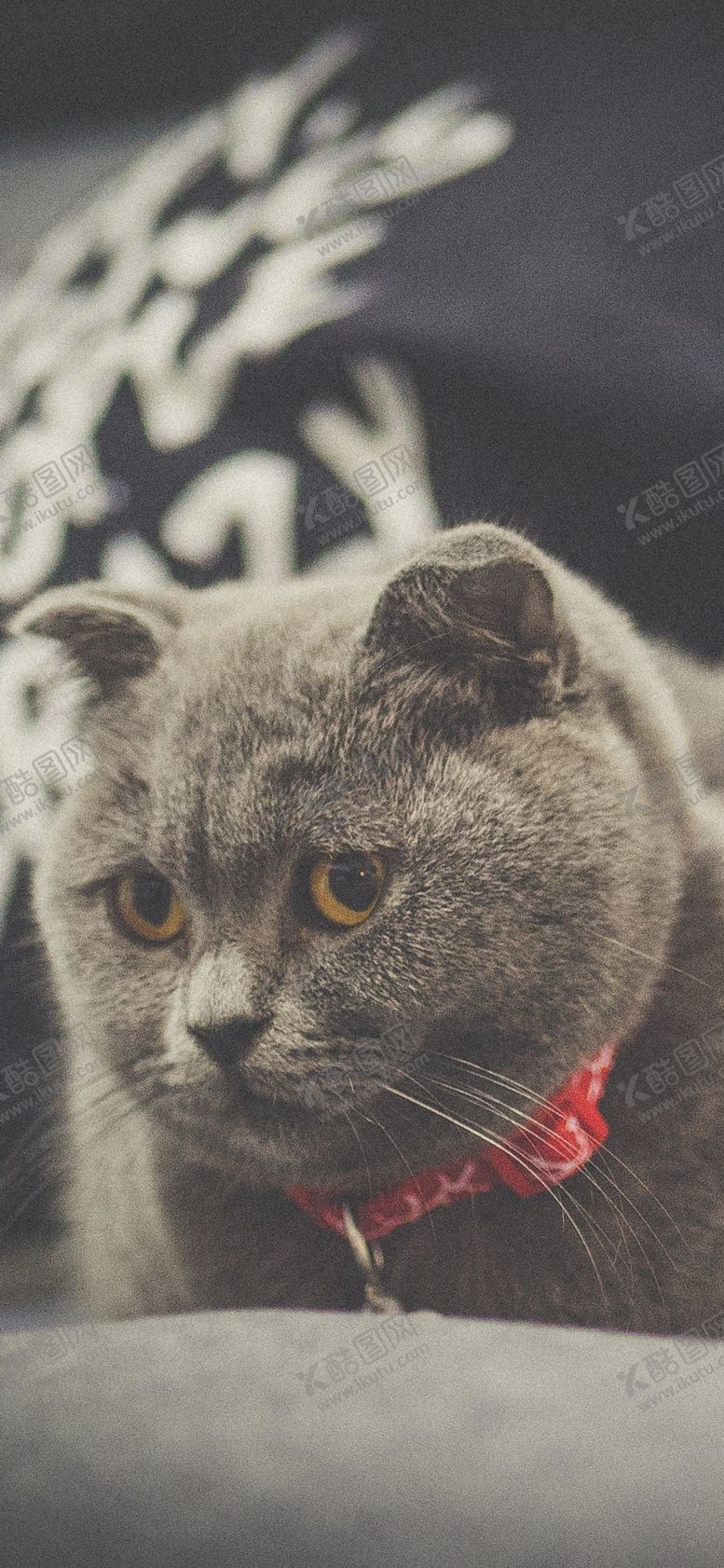 编号：58484309271652459322【酷图网】源文件下载-手机壁纸