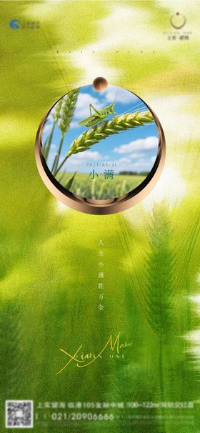 小满节气刷屏