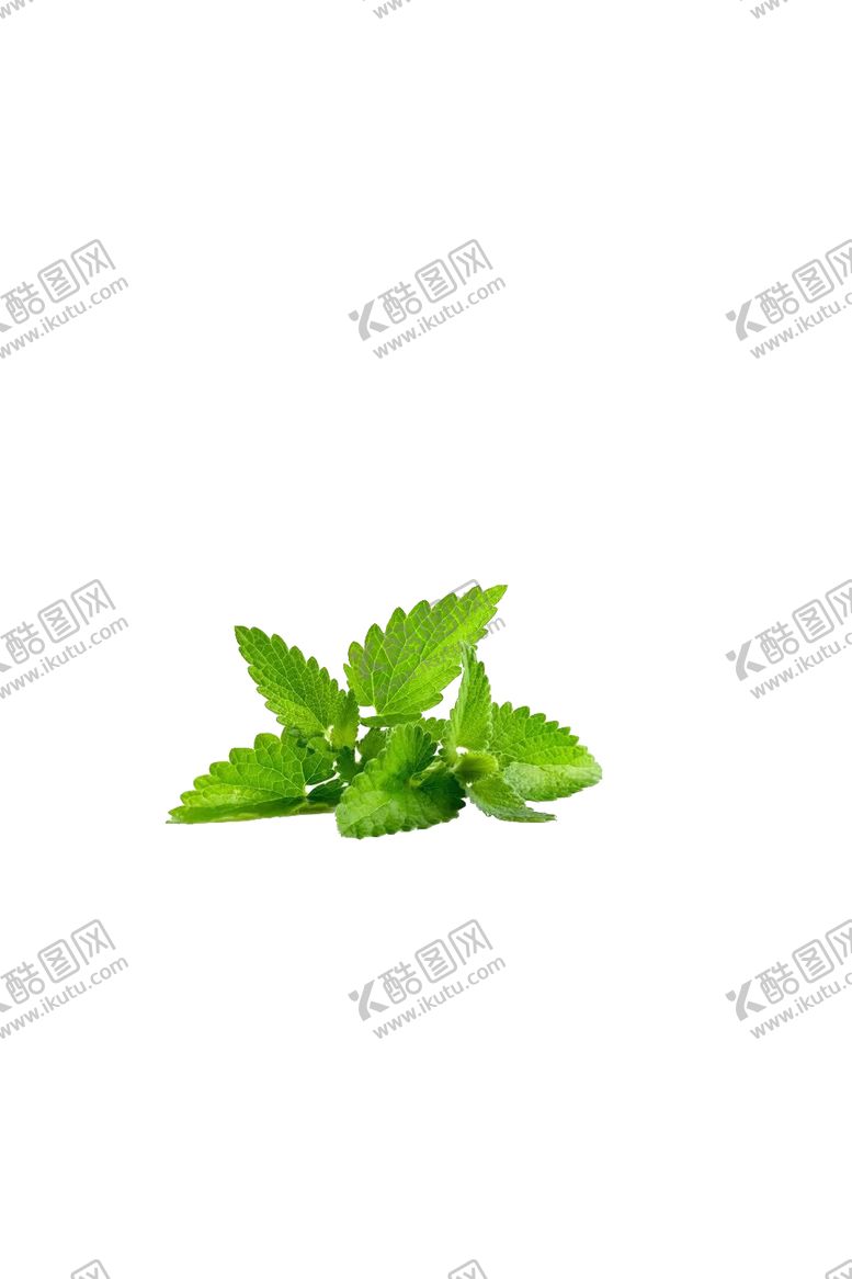 编号：89970306300921535486【酷图网】源文件下载-绿色PNG素材食物