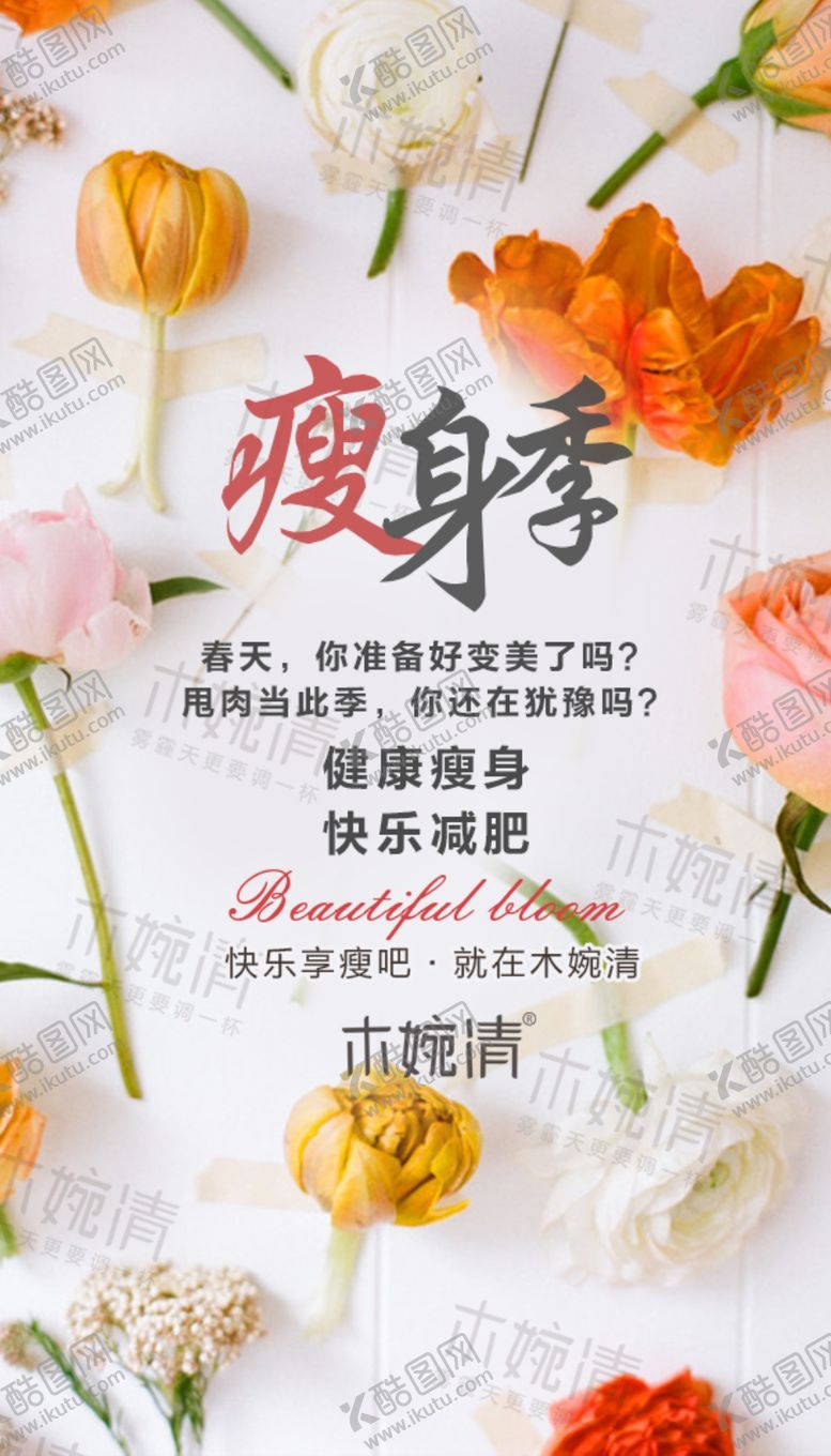 编号：83980910211207385731【酷图网】源文件下载-木婉清