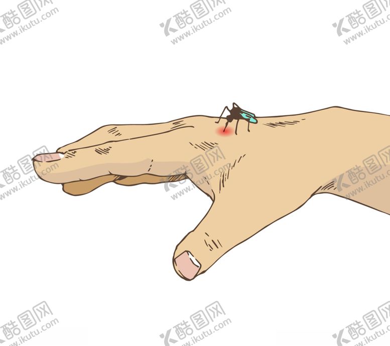 编号：48856010021358315284【酷图网】源文件下载-蚊子