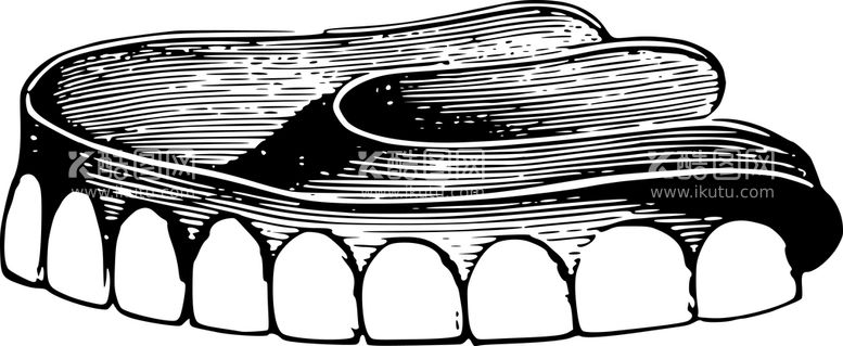 编号：75187111201226356840【酷图网】源文件下载-牙科线条艺术矢量素材