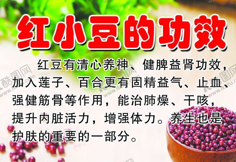 编号：31135909250341141772【酷图网】源文件下载-红小豆功效介绍