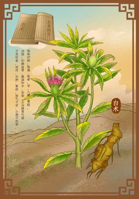 编号：06517809240607044562【酷图网】源文件下载-中药材金银花