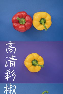 彩椒 辣椒 圆椒 蔬菜鲜果