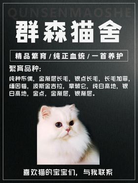 猫舍