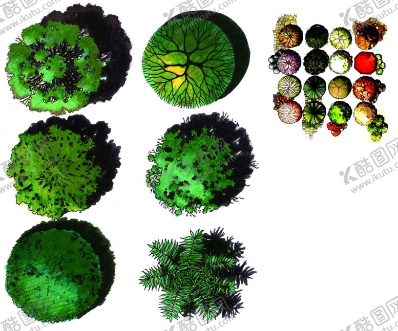 编号：21658509241732252599【酷图网】源文件下载-景观规划平面树彩图