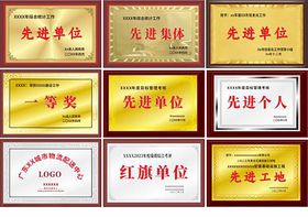各类荣誉奖牌证书展示