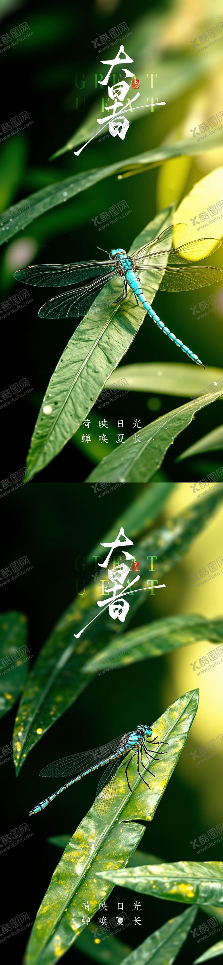 编号：42311007121027233074【酷图网】源文件下载-大暑小暑处暑节气节日海报