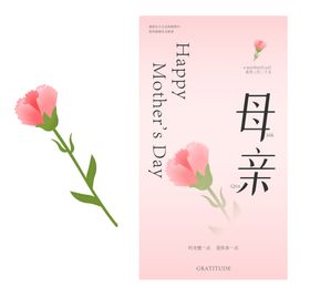 母亲节海报背景康乃馨花