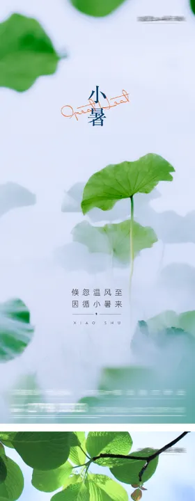 小暑大暑节气系列实拍海报