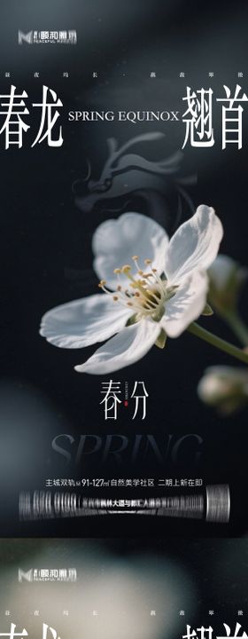 龙抬头春分节日节气海报春天