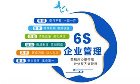 企业管理6S