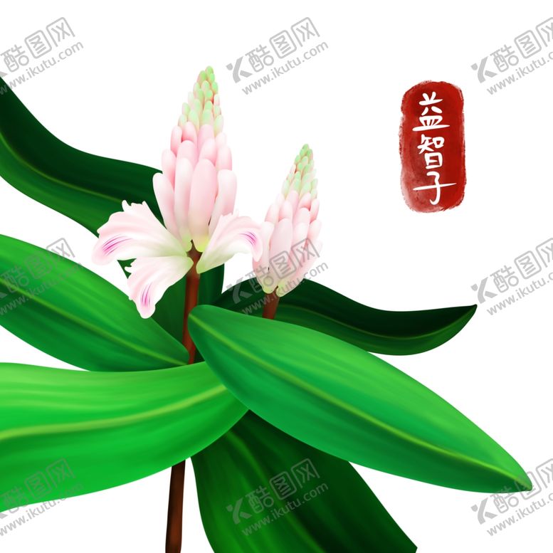 编号：60652602070137086904【酷图网】源文件下载-手绘益母草