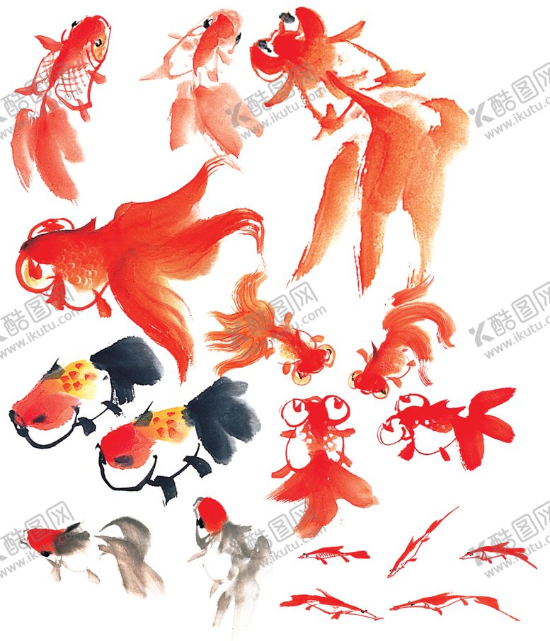 编号：25115210220905045305【酷图网】源文件下载-中国画金鱼
