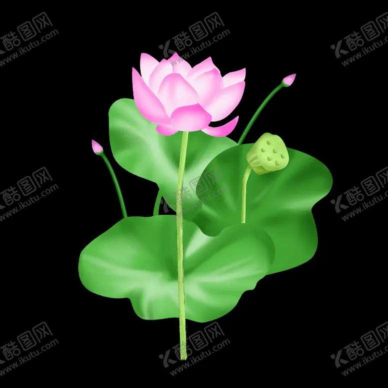 编号：22454605011938216426【酷图网】源文件下载-荷花元素