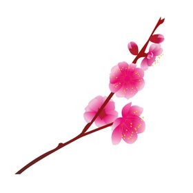 梅花树枝元素