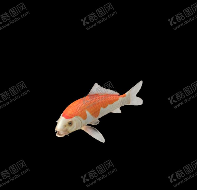 编号：14510210011251313553【酷图网】源文件下载-海洋生物