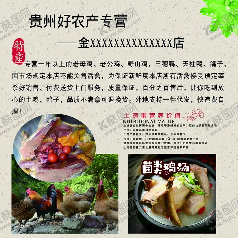 编号：03657209161436492578【酷图网】源文件下载-土鸡营养海报