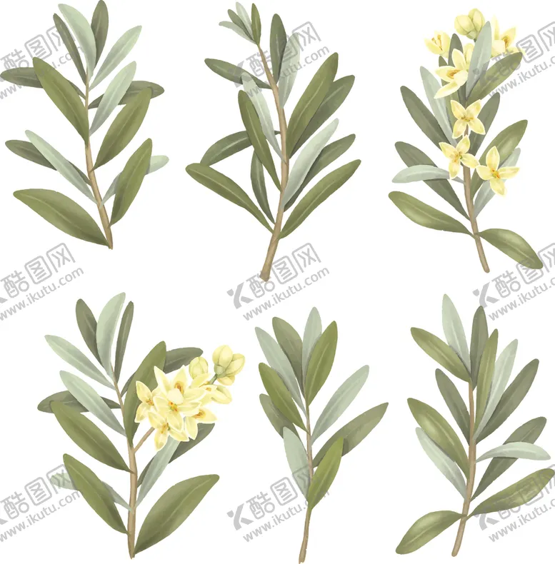 编号：37432203051113379605【酷图网】源文件下载-手绘水彩桂花插画