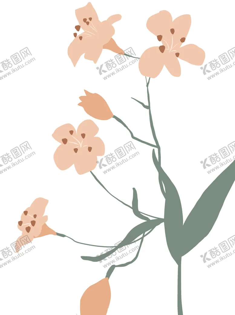 编号：04612309211730381682【酷图网】源文件下载-百合花