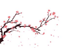 手绘梅花