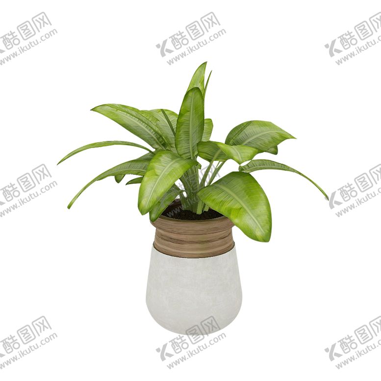 编号：23557109301730335968【酷图网】源文件下载-植物绿植水培装饰背景海报素材