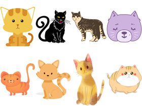 卡通猫