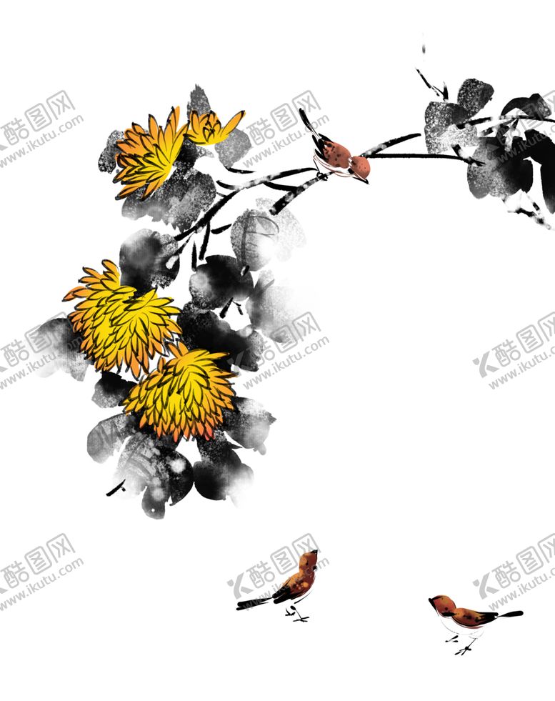 编号：32752510240522442520【酷图网】源文件下载-菊花素材