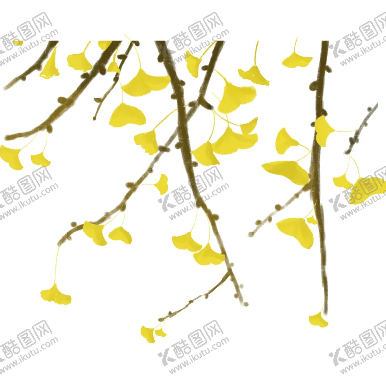 编号：78104104270314344747【酷图网】源文件下载-秋天银杏叶