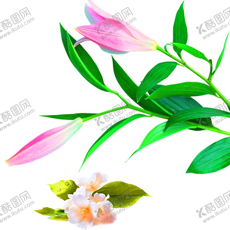 编号：22073207060608595573【酷图网】源文件下载-鲜花装饰