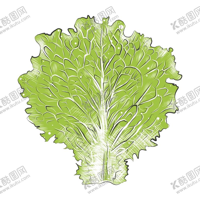 编号：83792810242328369632【酷图网】源文件下载-彩色素描蔬菜