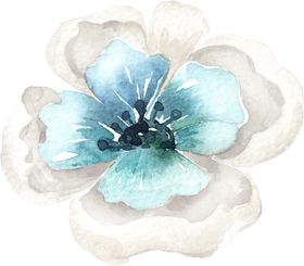 花朵花卉植物手绘插画