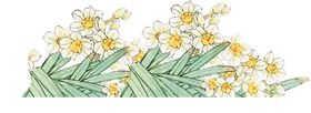 水仙花手绘纹元素朵